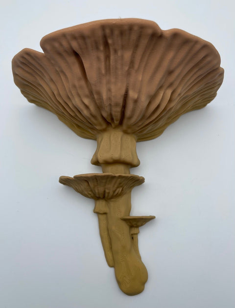 Amanita Fungus Mushroom Shelf - Great 3D Impressions