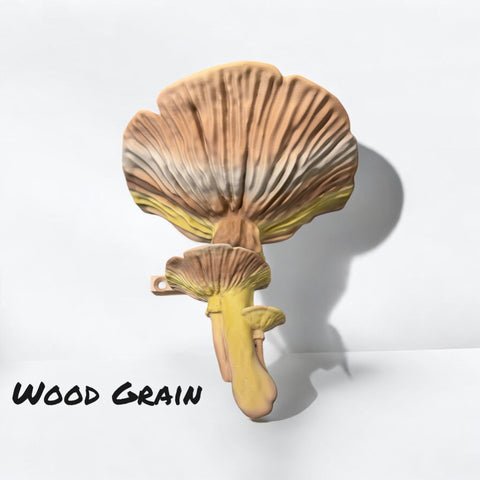 Amanita Fungus Mushroom Shelf - Great 3D Impressions