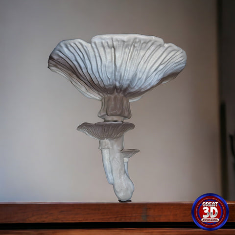 Amanita Fungus Mushroom Shelf - Great 3D Impressions