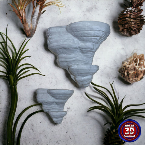 Fomentarius Fungus Shelves - Great 3D Impressions