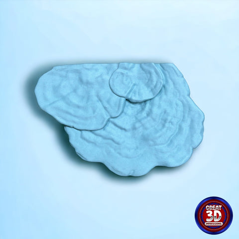 Gibbosa Fungus Shelf - Great 3D Impressions