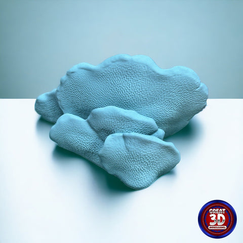 Gibbosa Fungus Shelf - Great 3D Impressions