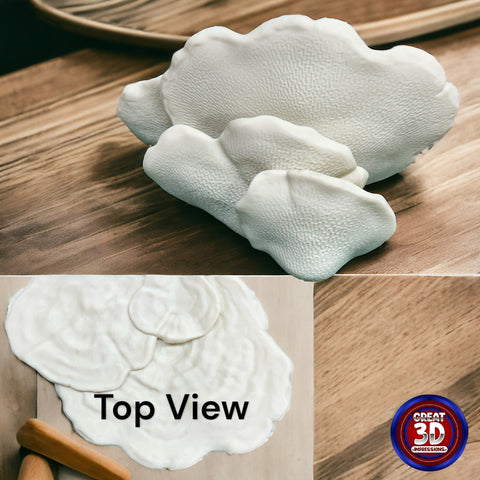 Gibbosa Fungus Shelf - Great 3D Impressions